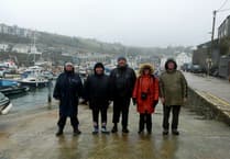 Winter visitors spotted during birdwatching trip at Cornish harbour