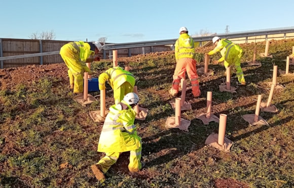 Teams from Idverde carrying out planting work across the green bridge last month