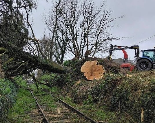 Branch line still closed due to fallen trees 