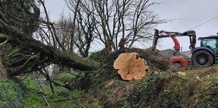 Branch line still closed due to fallen trees 