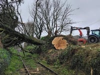 Branch line still closed due to fallen trees 
