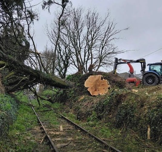 Network Rail has been busy clearing trees from the track (Network Rail Western)