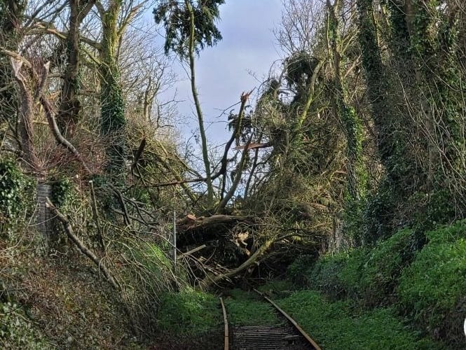 The fallen trees have made the route impassable (Picture: Network Rail Western)