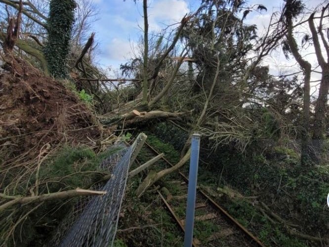 Huge trees have been blown onto the track (Picture: Network Rail Western)