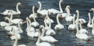 Cornwall Favourites: A haven for birds and an ancient heritage site