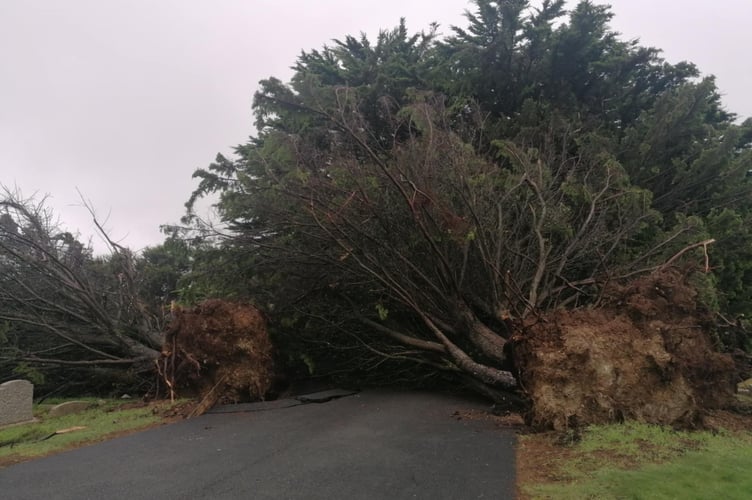Cornwall Council staff are assessing to see if any graves have been disturbed (Emerald Clancey)