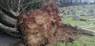 Graveyard closed due to storm damage