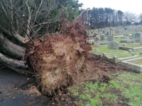 Graveyard closed due to storm damage