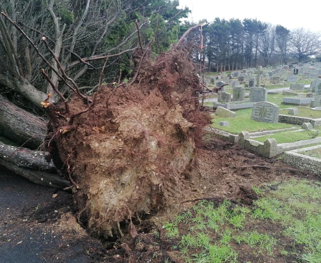 Graveyard closed due to storm damage