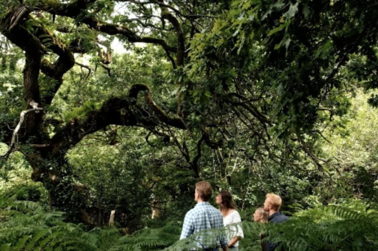 The Thousand Year Trust has been named a global winner at the inaugural Defender Awards