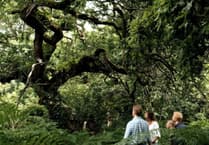 Bodmin Moor project is celebrated on global stage