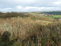 Tip top transformation: Former landfill could become new homes