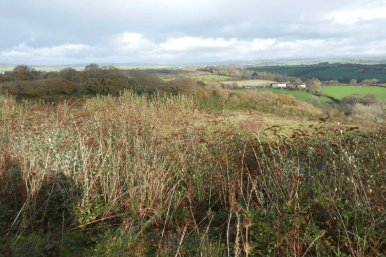 A view over the land at Carkeel (Picture: Cornwall Council)