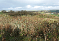 Tip top transformation: Former landfill could become new homes