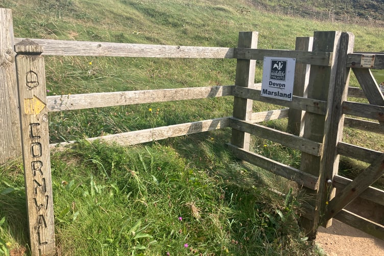 On the South West Coast Path, Cornwall and Devon meet at Marsland Mouth. (Picture: Andrew Townsend)
