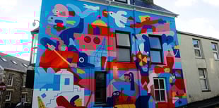 New colourful mural unveiled to showcase town's vibrancy