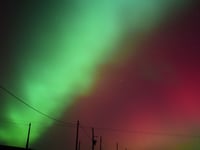 The Night Sky in February with Brian Sheen