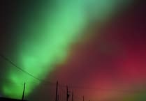 The Night Sky in February with Brian Sheen