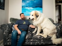 Dog 'as big as a polar bear' finds new home in Cornwall