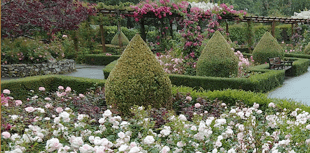 Memorials must be removed before they are confiscated