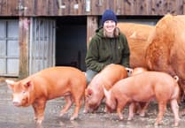 Farm fun and retro rollerskating arriving to Heligan for half-term