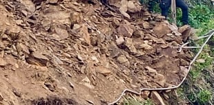 Five people and two dogs rescued  after cliff collapses 