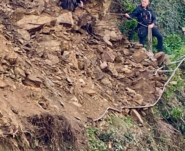 Five people and two dogs rescued  after cliff collapses 