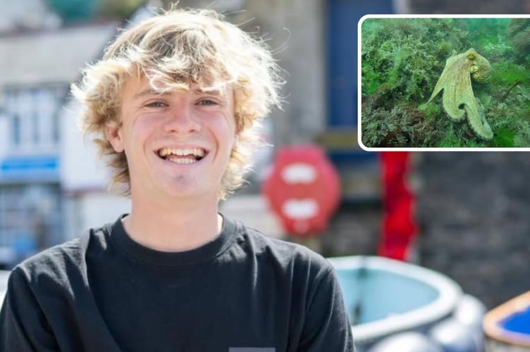 Looe fisherman Will Jaycock worries the real impact is yet to be felt by the rise in octopus numbers in South West waters