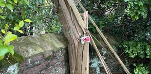 Cornwall residents face month long internet outage after Storm Goretti