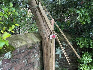 Cornwall residents face month long internet outage after Storm Goretti