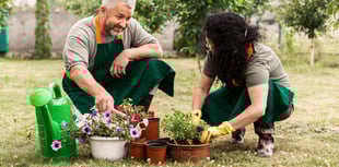 Urban Green Shoots project takes root in Liskeard