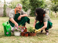 Urban Green Shoots project takes root in Liskeard