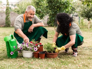 Urban Green Shoots project takes root in Liskeard