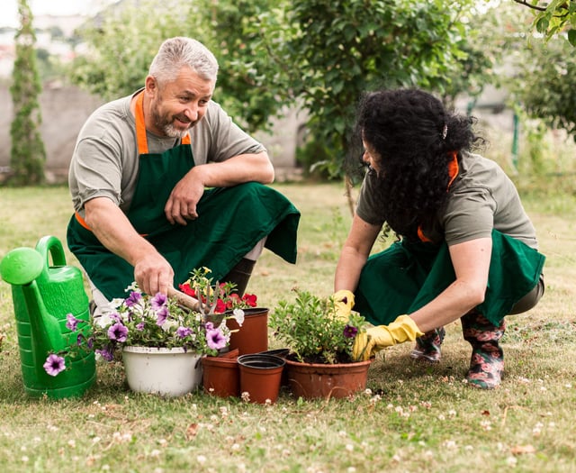 Urban Green Shoots project takes root in Liskeard