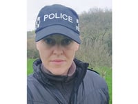 Investigation after dog abandoned on moorland