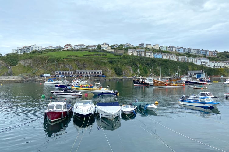 The parish council wants to keep Mevagissey looking good. (Picture: Andrew Townsend)