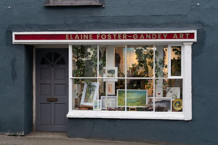 A vibrant new exhibition at Elaine Foster-Gandey Art in Lostwithiel next month