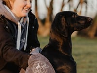 Dog lover develops clever towel to tackle wriggly wet dogs 