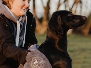 Dog lover develops clever towel to tackle wriggly wet dogs 