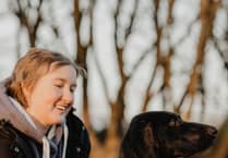 Dog lover develops clever towel to tackle wriggly wet dogs