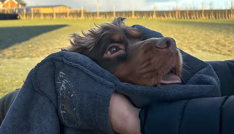 Determined to find a better solution, Leanne developed a microfibre drying towel with built-in hand pockets