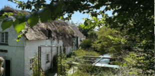 Plans proposed to demolish cottage and build properties