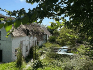 Plans proposed to demolish cottage and build properties