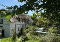 Plans proposed to demolish thatched cottage and build properties