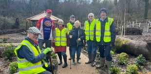 Rotarians brave weather to plant new trees