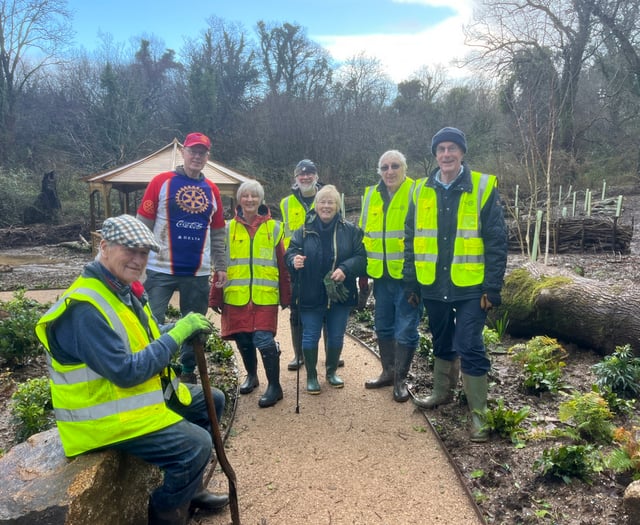 Rotarians brave weather to plant new trees