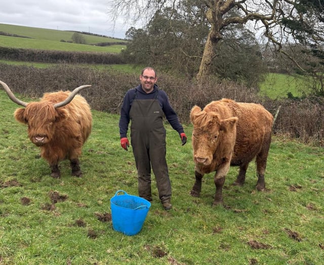 Farmer found 'utter carnage' after cow chased to its death by dog