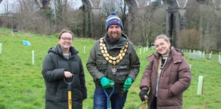 Volunteers help spruce up nature area