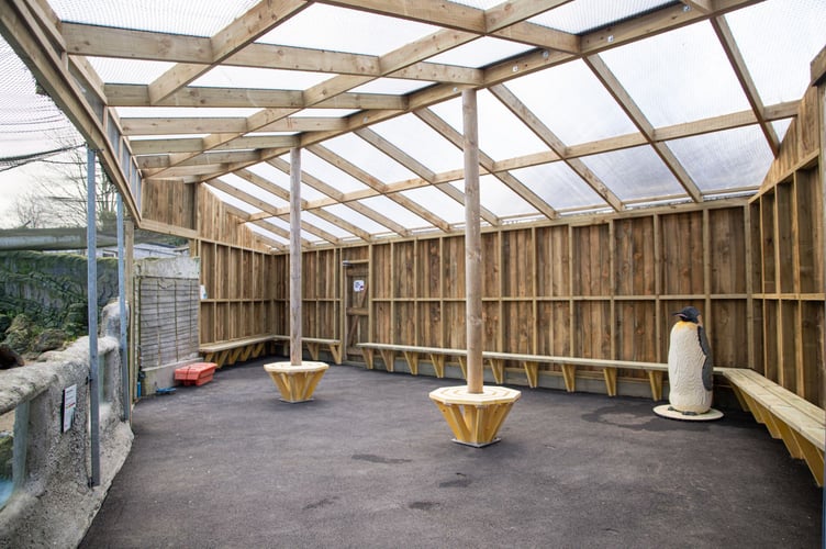 Penguin Pool seated viewing area