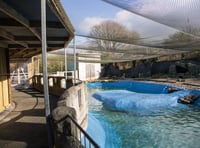 New zoo owners complete first improvement project 